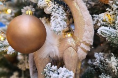 0358b051-6b7c-46a4-a60a-f58def978ec4