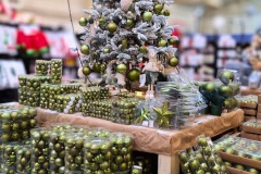 1fbcca85-6e37-4f2b-8679-3a286feb8ce9