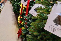 2d709c8f-a631-4741-a18c-8f0c32203c46