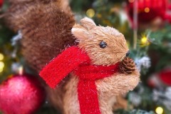 351a9375-6ad1-4470-aaeb-79c93f79106a