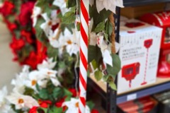 3d3cc032-06fe-43d7-947e-af5713cbac96