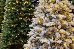 6f49a6a6-76c3-4b1a-ac69-79f67f937289