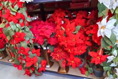 9d2e52be-709b-4e4e-a6ba-2df9235ac3b8