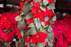 d7ff7922-e113-4dd1-9d03-84cfb4af3d31