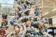 fd54501b-bad4-431d-9aeb-af8d44e1a6fc