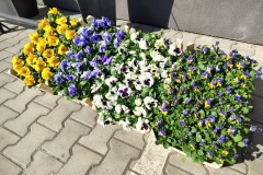 IMG_20260305_123140868_HDR