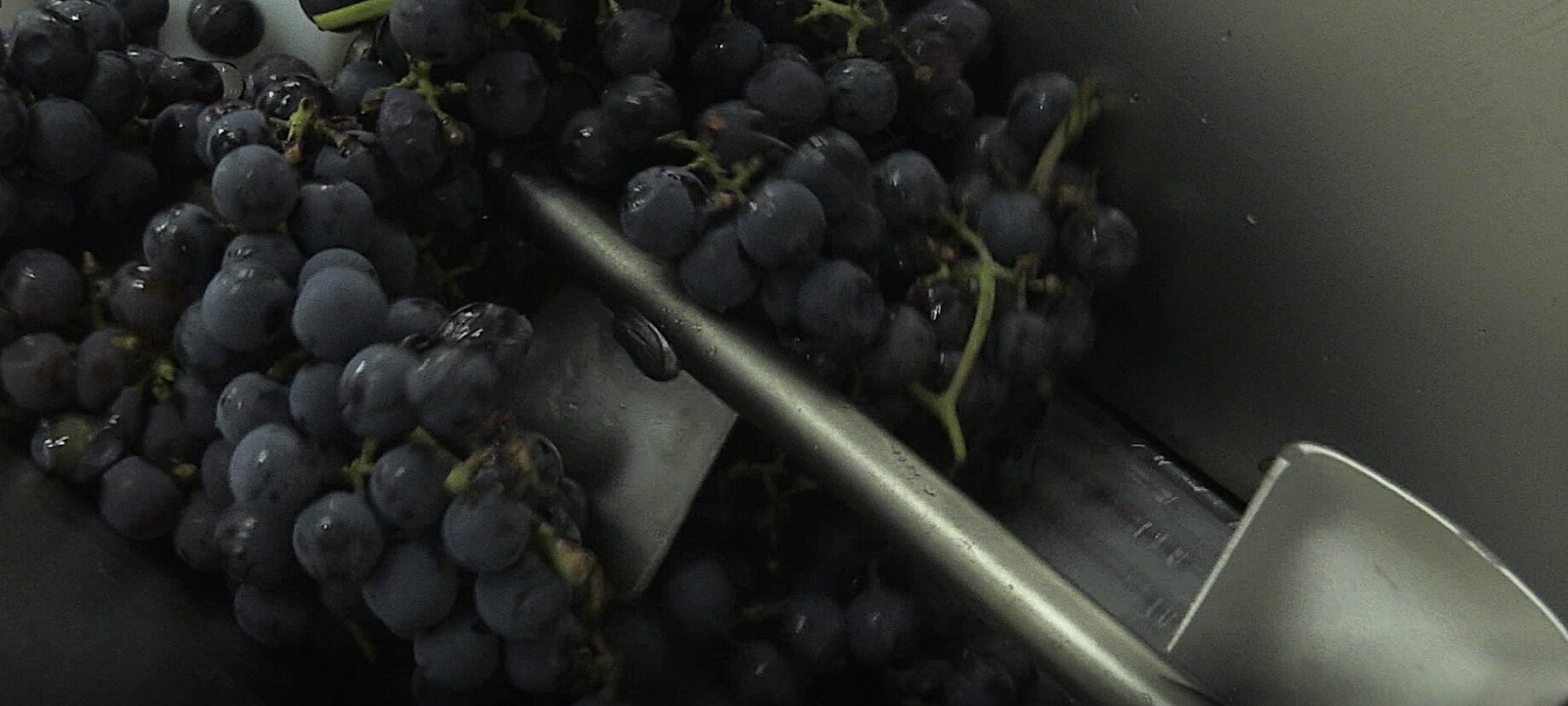 Rozdrabniarka do winogron ze stali nierdzewnej